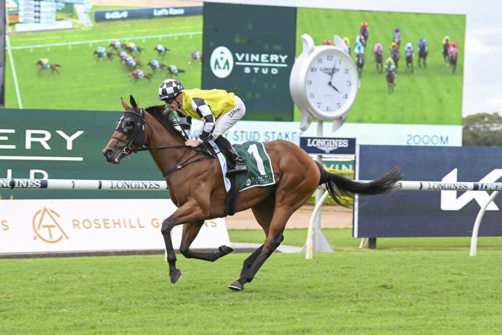 New Zealand filly Prowess winning Sydney's Vinery Stud Stakes in 2023