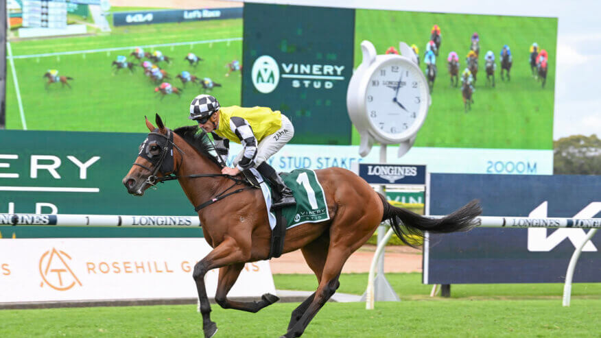 Vinery Stud Stakes Betting