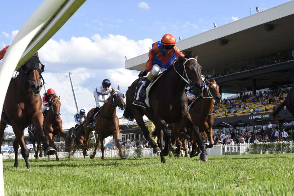 2021 George Ryder Stakes winner Think It Over at Rosehill