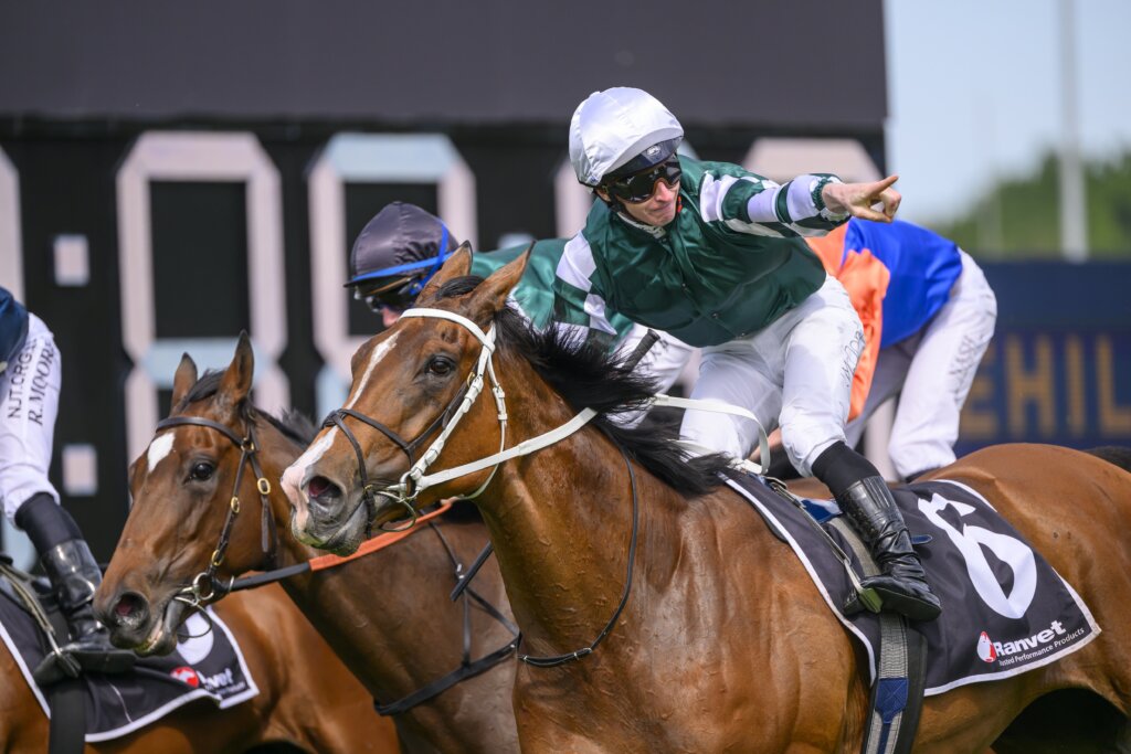 Via Sistina winning the 2024 Ranvet Stakes at Rosehill in Sydney