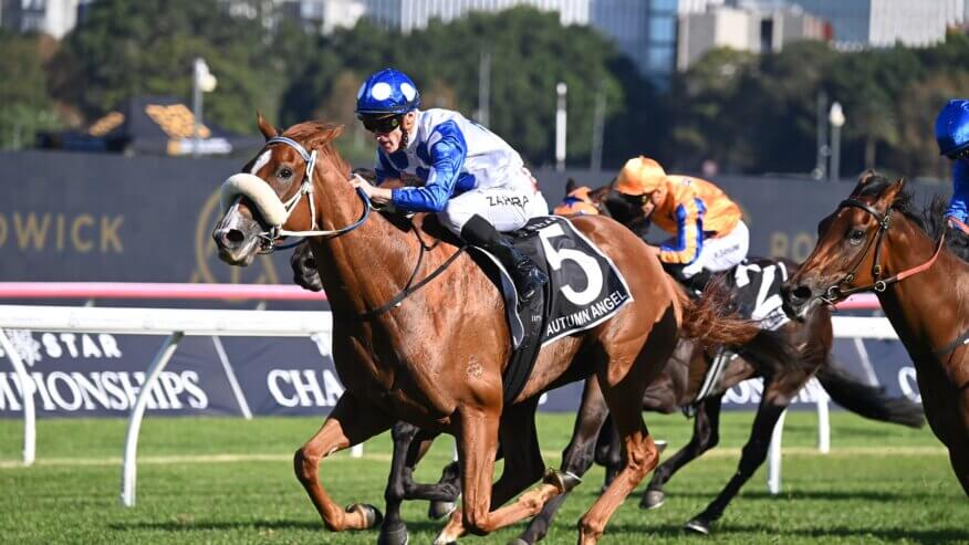 Australian Oaks Preview