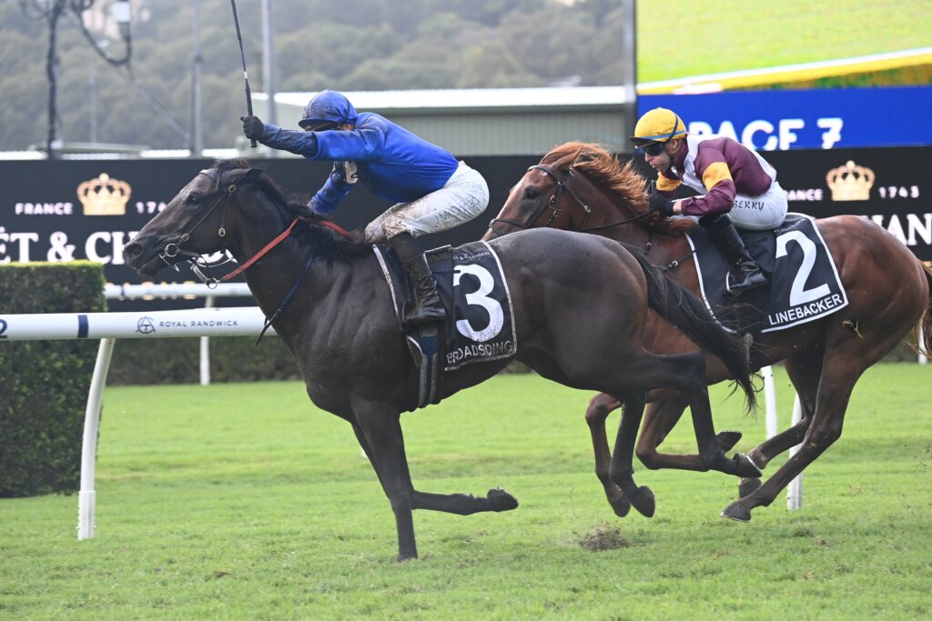 2024 Champagne Stakes winner Broadsiding
