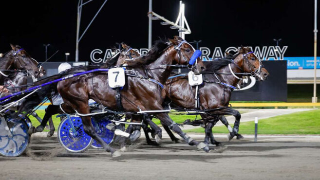 Cambridge Harness Tips & Preview | Friday 19 June