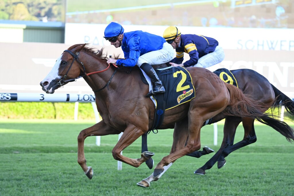 2022 All Aged Stakes winner Cascadian