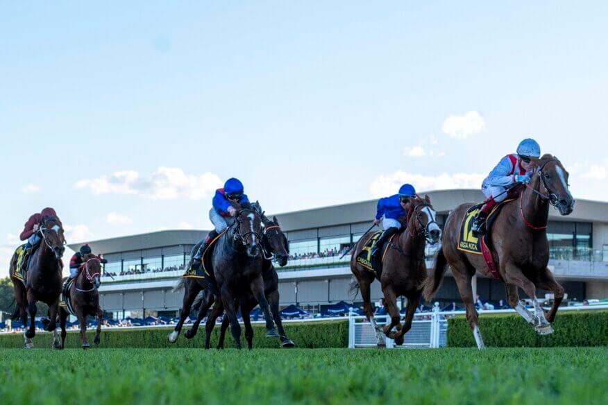 All Aged Stakes Betting