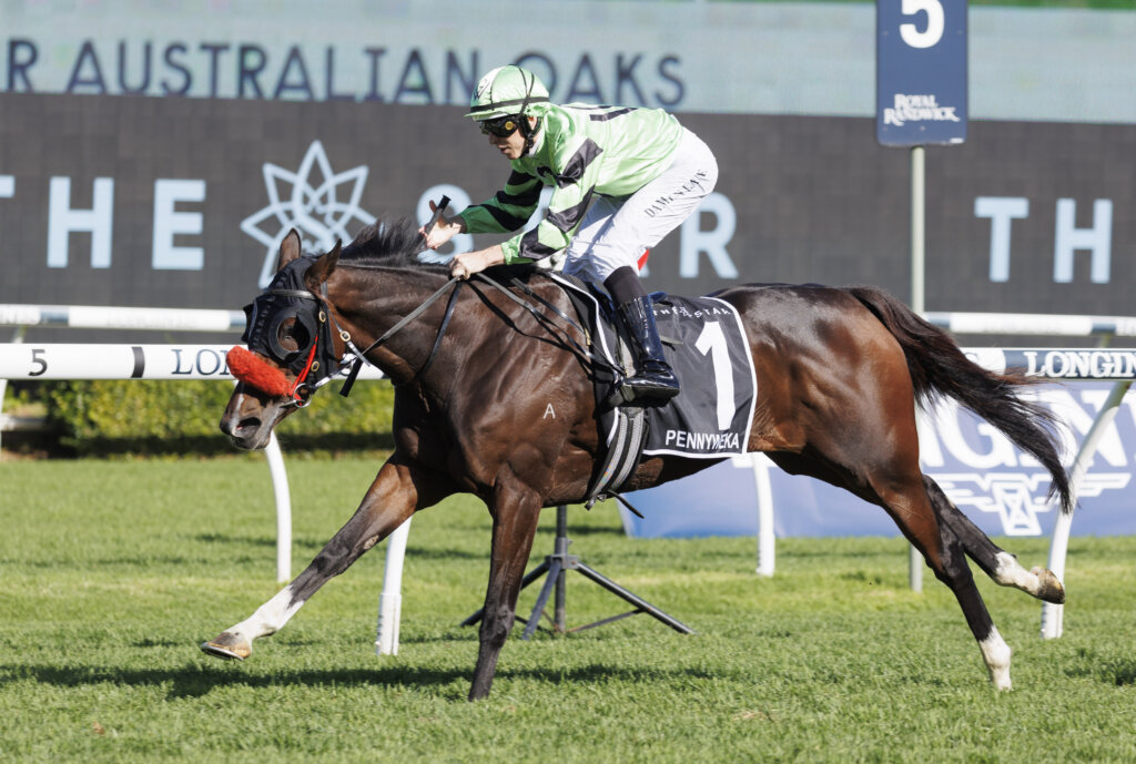 New Zealand filly Pennyweka winning the 2023 Australian Oaks at Randwick