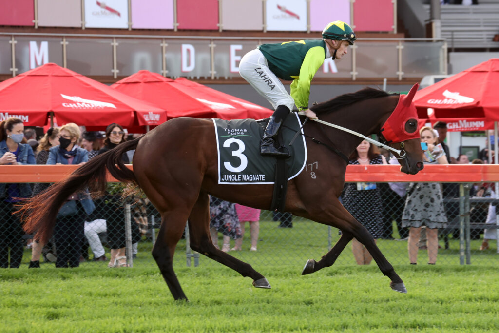 Jungle Magnate winning the 2022 SA Derby at Morphettville