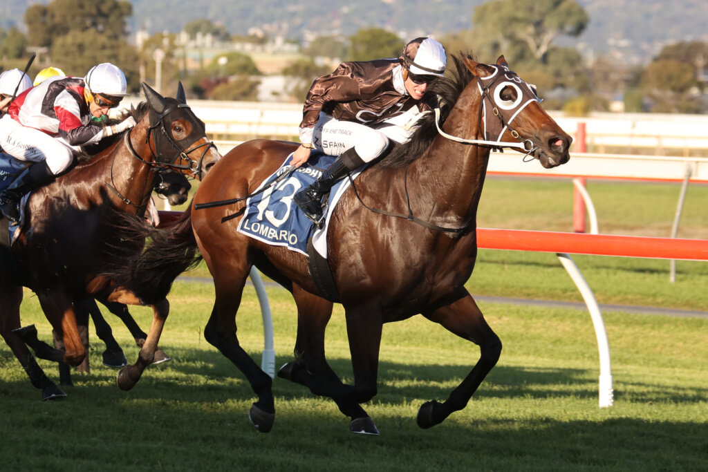 Lombardo winning Morphettville's The Goodwood race in 2022