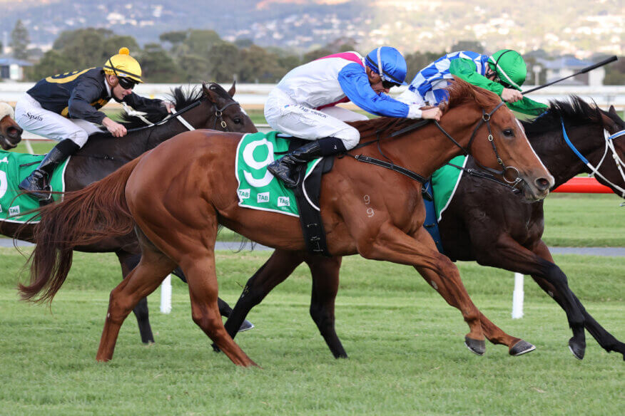 Doomben 10,000 Preview