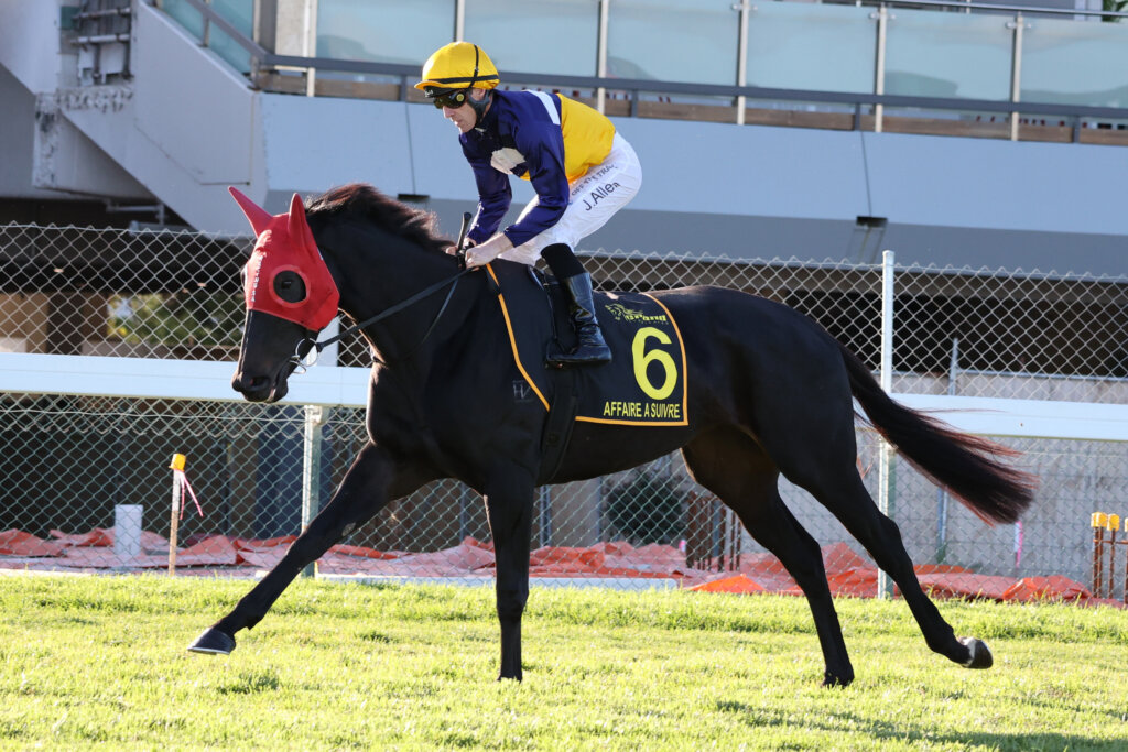 2023 Australasian Oaks winner Affaire A Suivre 