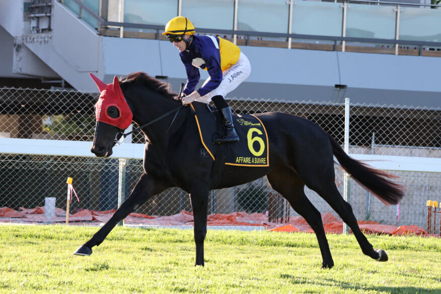 Australasian Oaks Preview