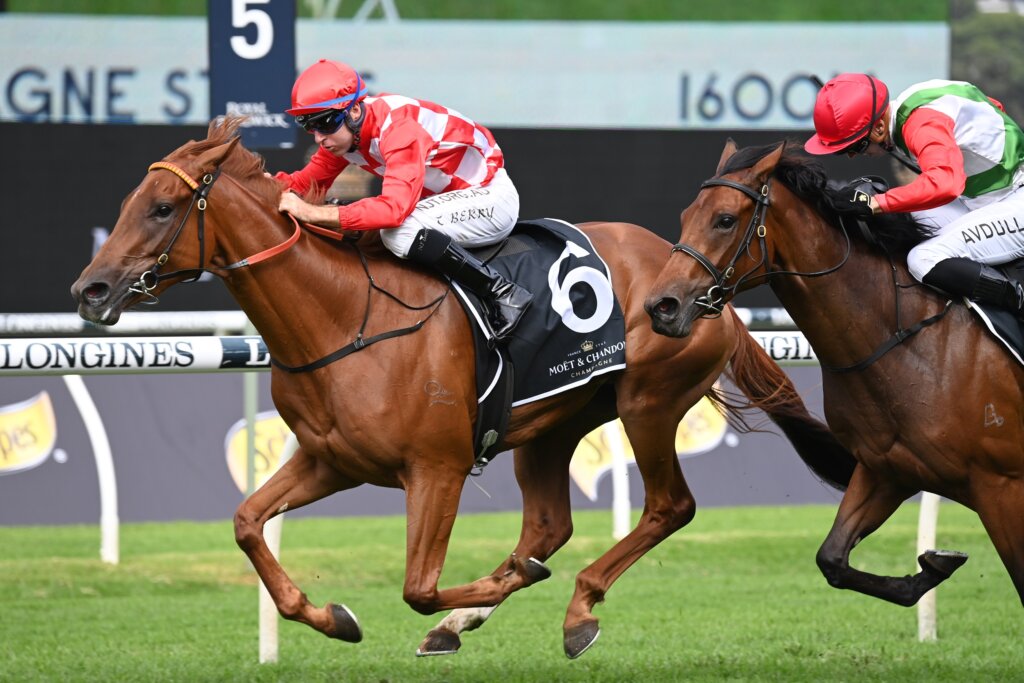 2022 Champagne Stakes winning filly She's Extreme