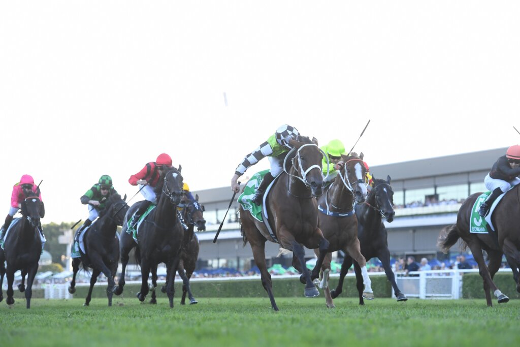2024 Queen Of The Turf Stakes winner Zougotcha