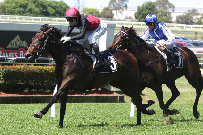 Warwick Farm Tips & Preview | Wednesday 7 May