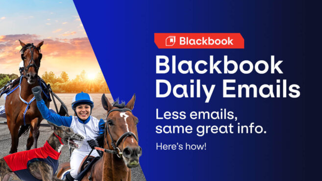 All Your Blackbook Runners in One Email