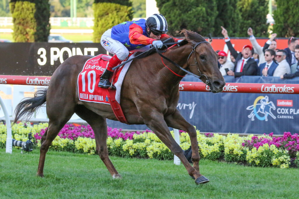 2024 Tattersall's Tiara winner Bella Nipotina (pictured in Melbourne)