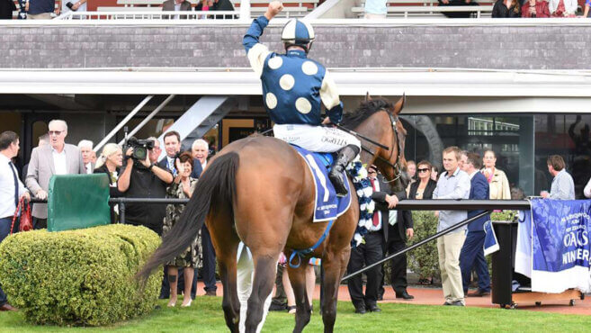 Early Payout: Craig Grylls in the NZ Jockey Premiership