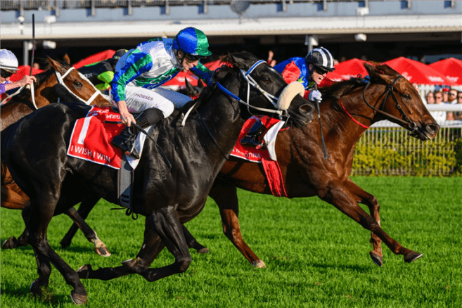 Doomben Tips & Preview | Wednesday 14 January