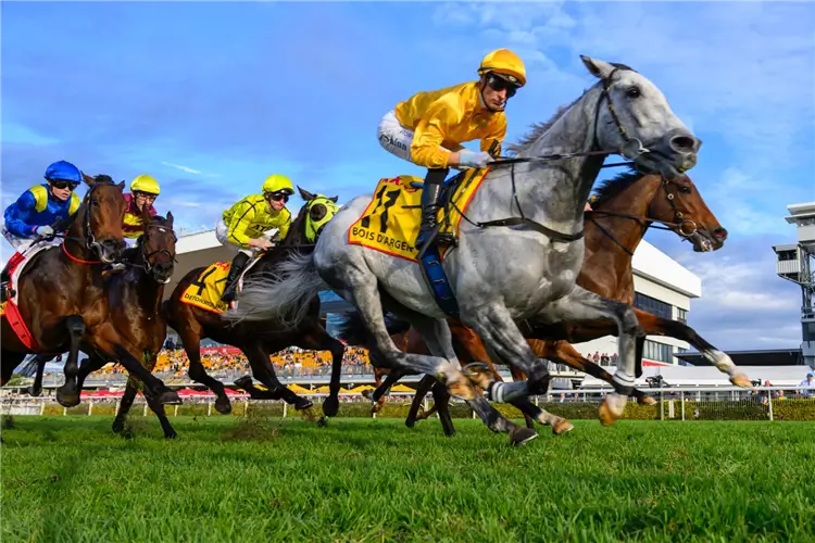 Bois D'Argent winning the 2024 Doomben Cup in Brisbane