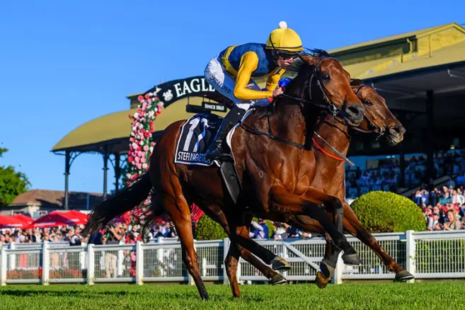 Eagle Farm (Stradbroke Handicap Day) Tips & Preview | Saturday 14 June