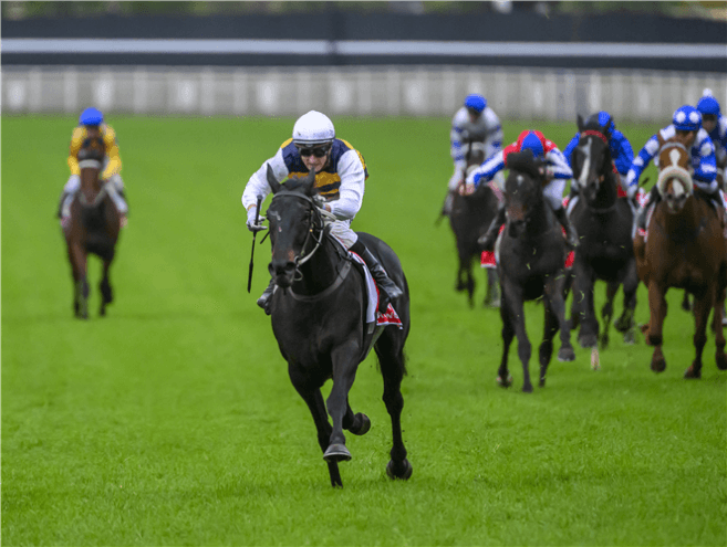 Ipswich (Ipswich Cup Day) Tips & Preview | Saturday 21 June