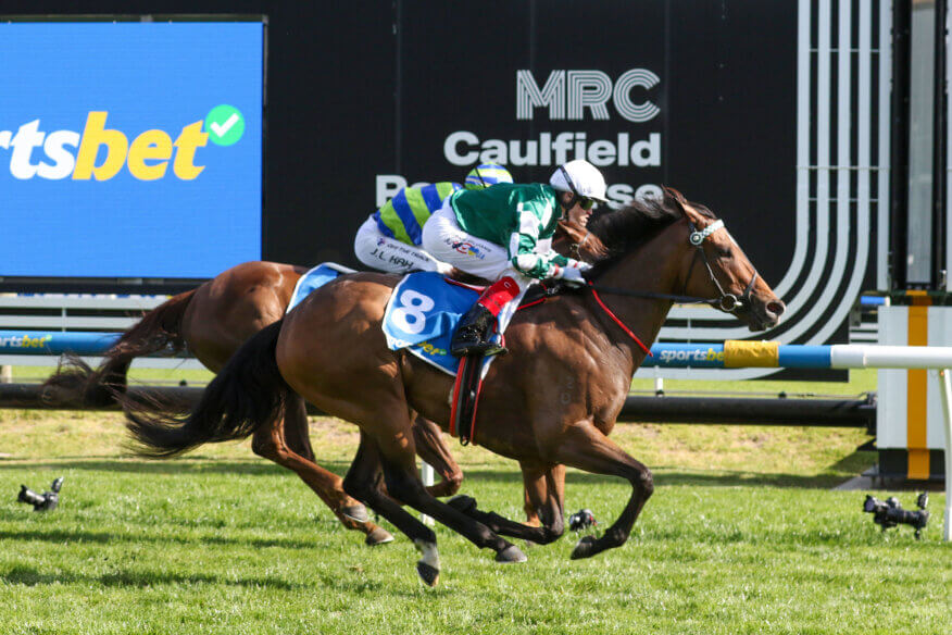 Sir Rupert Clarke Stakes Betting