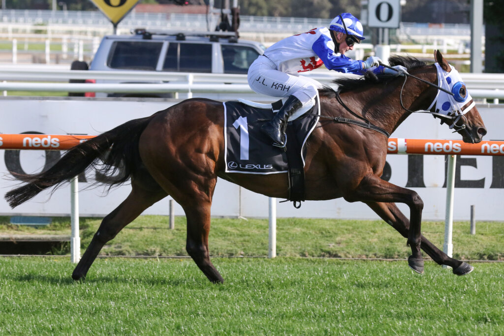 2019 Queensland Derby winner Mr Quickie (pictured in Melbourne)