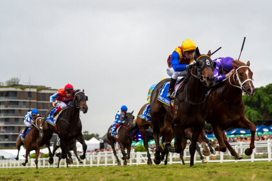 2026 Queensland Oaks Preview