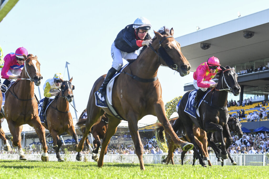 2022 JJ Atkins winning filly Sheeza Belter (pictured in Sydney)