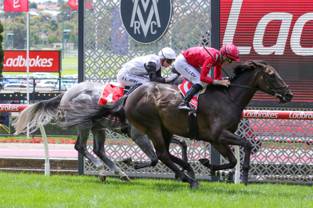 2024 Queensland Oaks winner Socks Nation (pictured in Melbourne)
