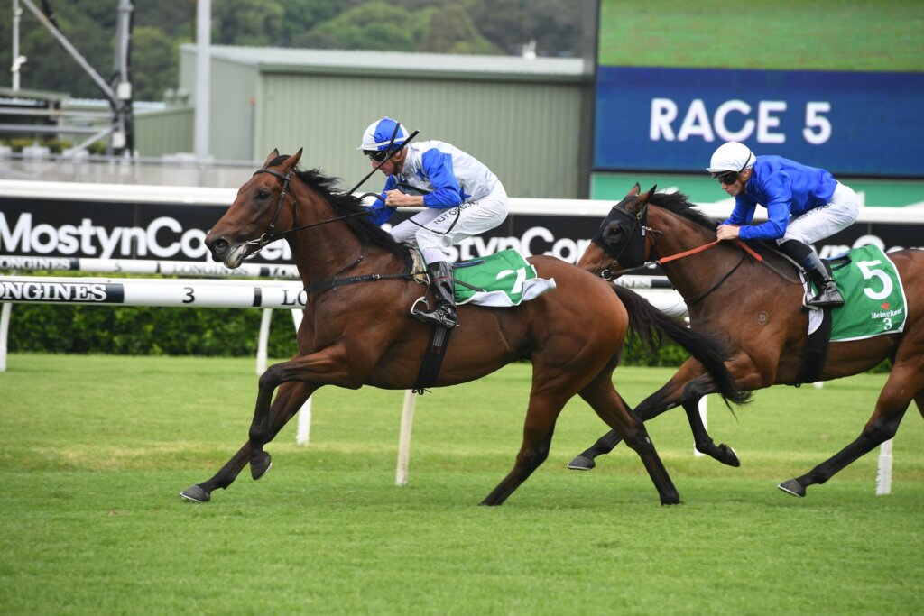 2019 Kingsford Smith Cup winner The Bostonian (pictured in Sydney)