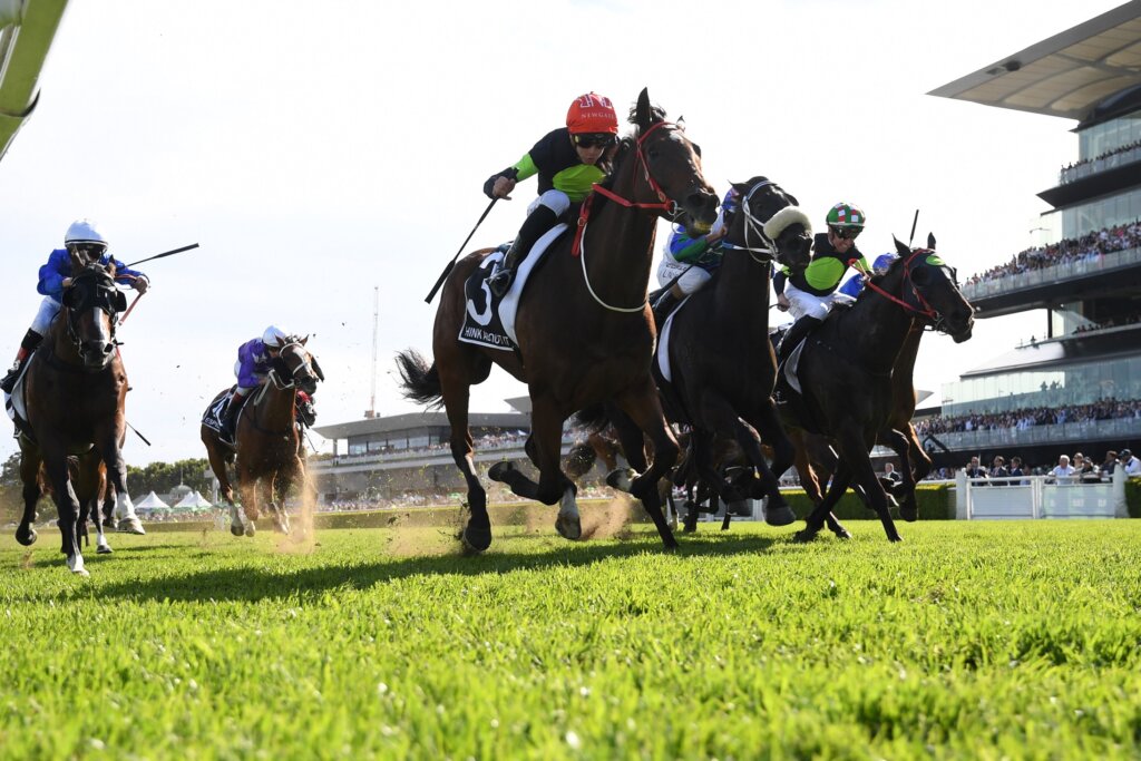 2023 Stradbroke Handicap winner Think About It (pictured in Sydney)