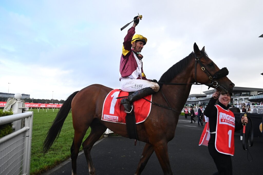 Dual Doomben Cup winner Huetor (pictured in Sydney)