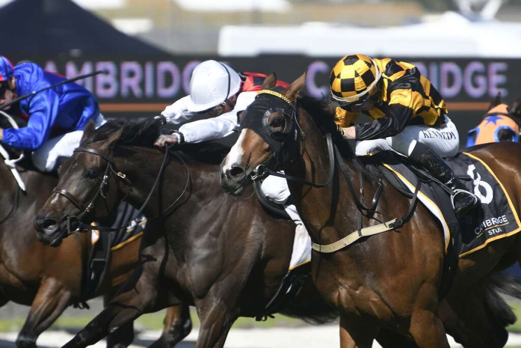 2024 Livamol Classic winner Snazzytavi (pictured winning the Zabeel Classic)