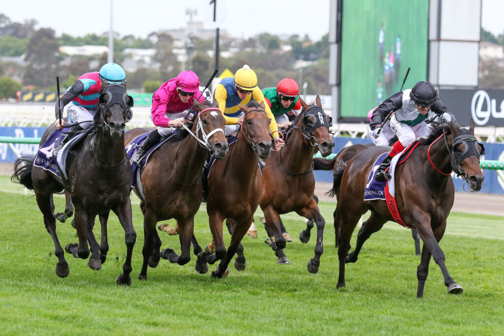Mr Brightside winning Flemington's 2024 Champions Mile