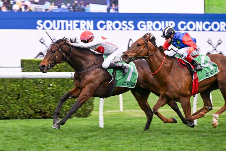 Concorde Stakes Betting