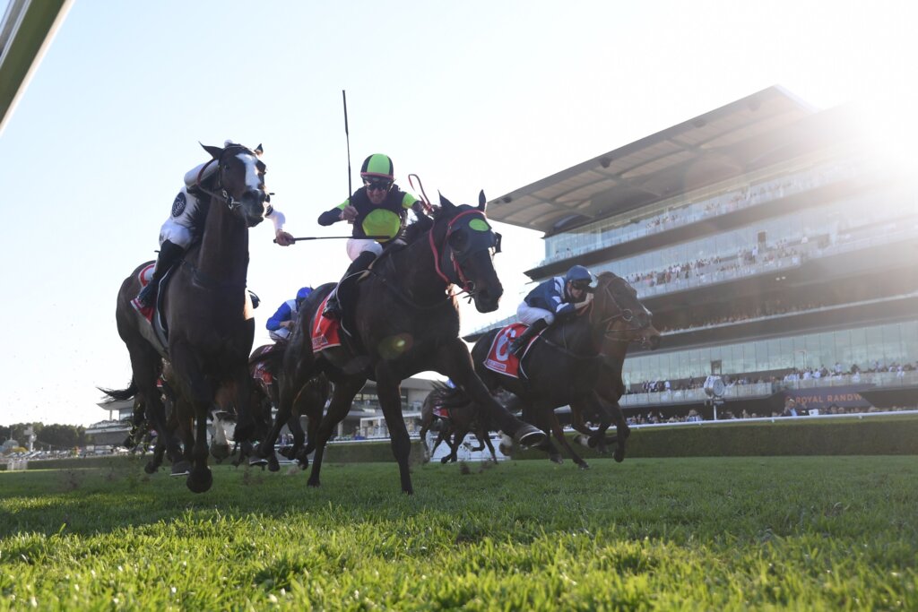 Private Eye winning the 2023 The Shorts race at Royal Randwick