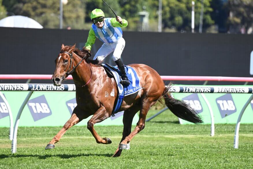 The Kosciuszko Betting