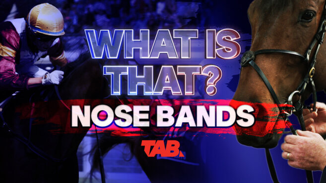What Is That? | Nose Bands