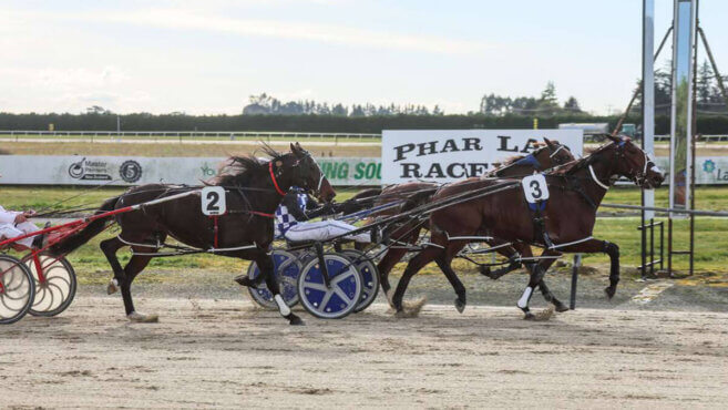 Timaru Harness Tips & Preview | Sunday 24 May