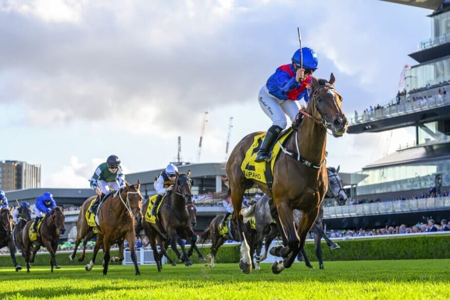 Winterbottom Stakes Betting