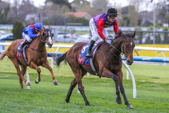 2025 Geelong Cup Day Tips & Preview | Wednesday 22 October