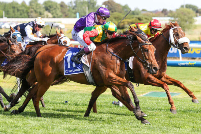 Geelong Tips & Preview | Wednesday 26 November