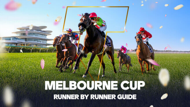 Runner by Runner Guide | 2025 Melbourne Cup