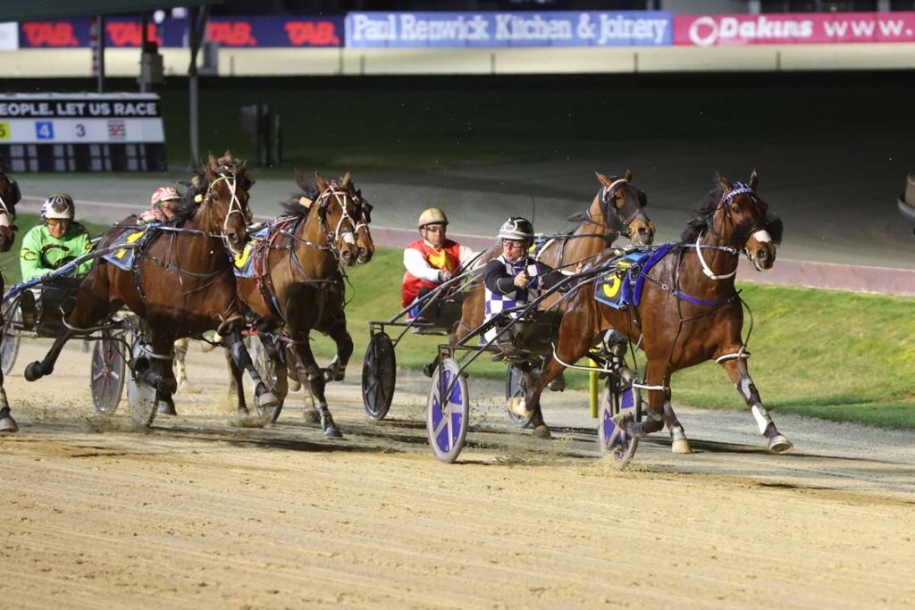 Alta Meteor winning the Avon City Ford New Brighton Cup on 5 September 2025. Photo by Race Images NZ.