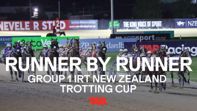 Runner By Runner Guide | Group 1 IRT New Zealand Trotting Cup