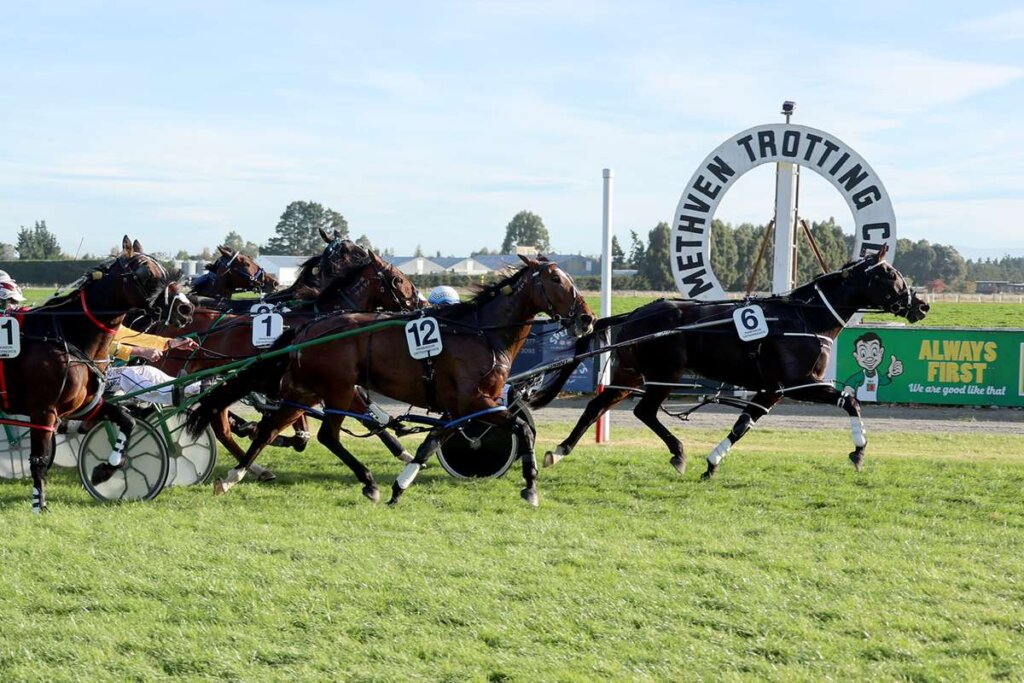 Here’s Herbie winning the The Brown Pub Methven Mount Hutt TC Cup on 13 April 2025. Photo by Race Images NZ.