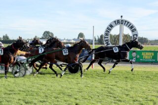 Here’s Herbie winning the The Brown Pub Methven Mount Hutt TC Cup on 13 April 2025. Photo by Race Images NZ.