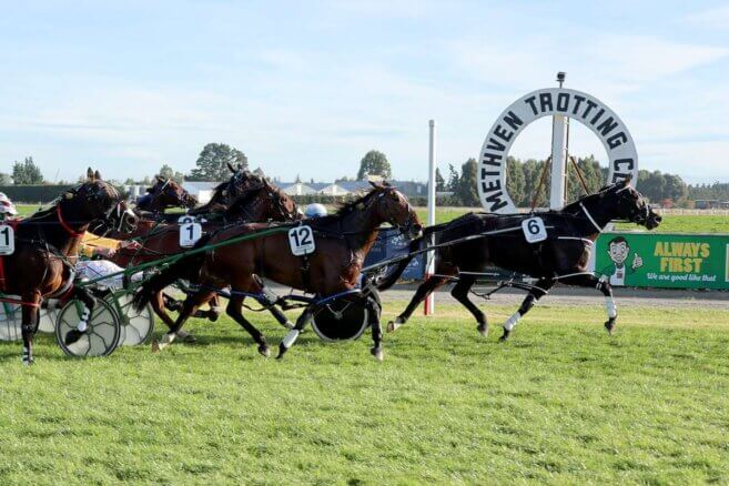 Methven Harness Tips & Preview | Sunday 11 October