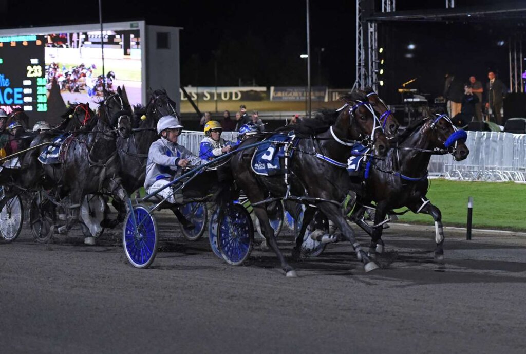 Merlin winning the 2024 The Race By Grins Mobile Pace on 12 April 2024. Photo by Race Images NZ.